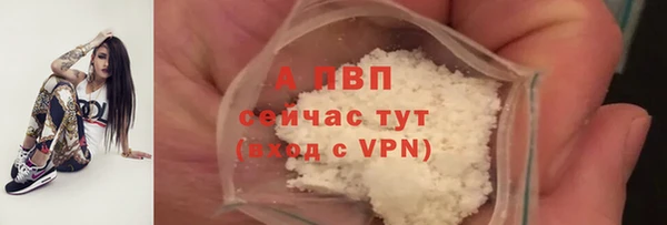 герыч Иннополис
