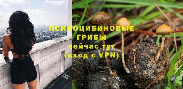 эйфоретик Инта