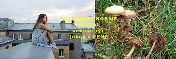 эйфоретик Инта