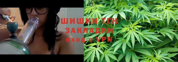 эйфоретик Инта